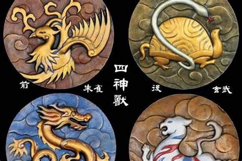 中國玄武圖騰|「青龍、白虎、朱雀、玄武」四聖獸的來龍去脈